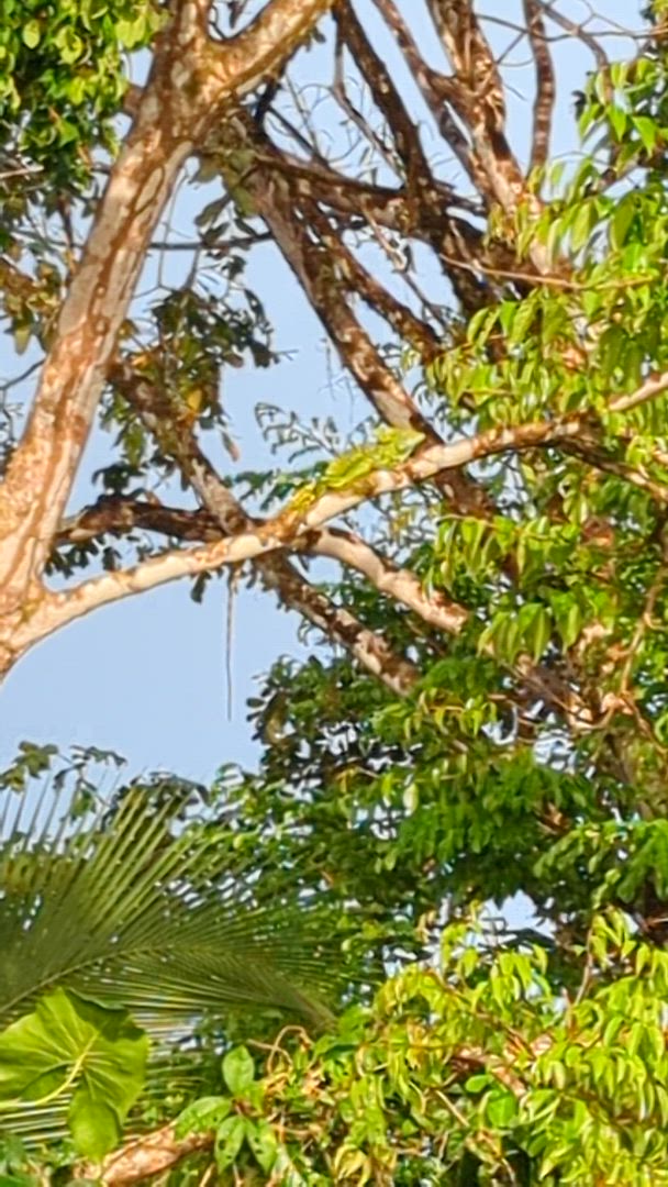 TourRadar a réuni les meilleurs Noël et Nouvel An. Nous vous proposons 27972 aventures dans 187 pays différents. Ces circuits durent entre une journée et 30 jours.