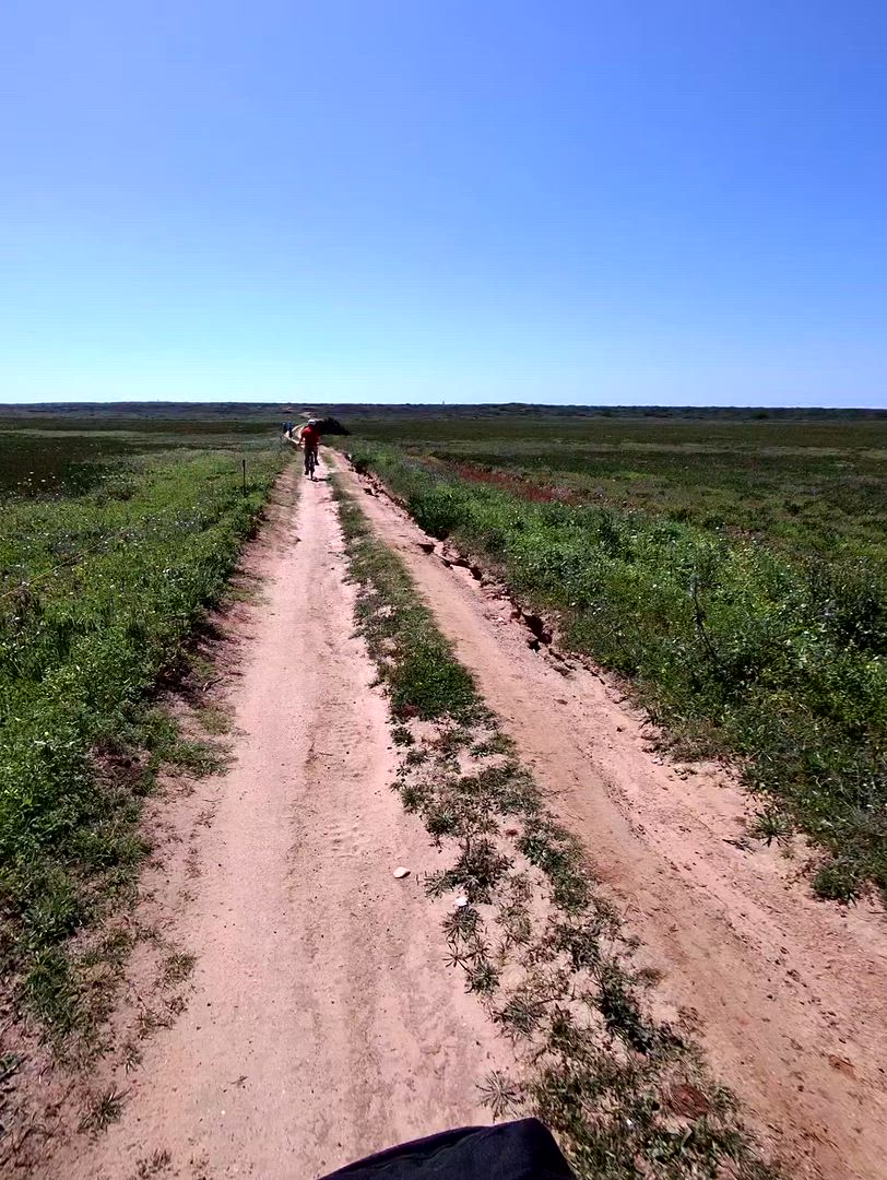 Vídeo de reseña del cliente sobre Paseo de Lisboa al Algarve