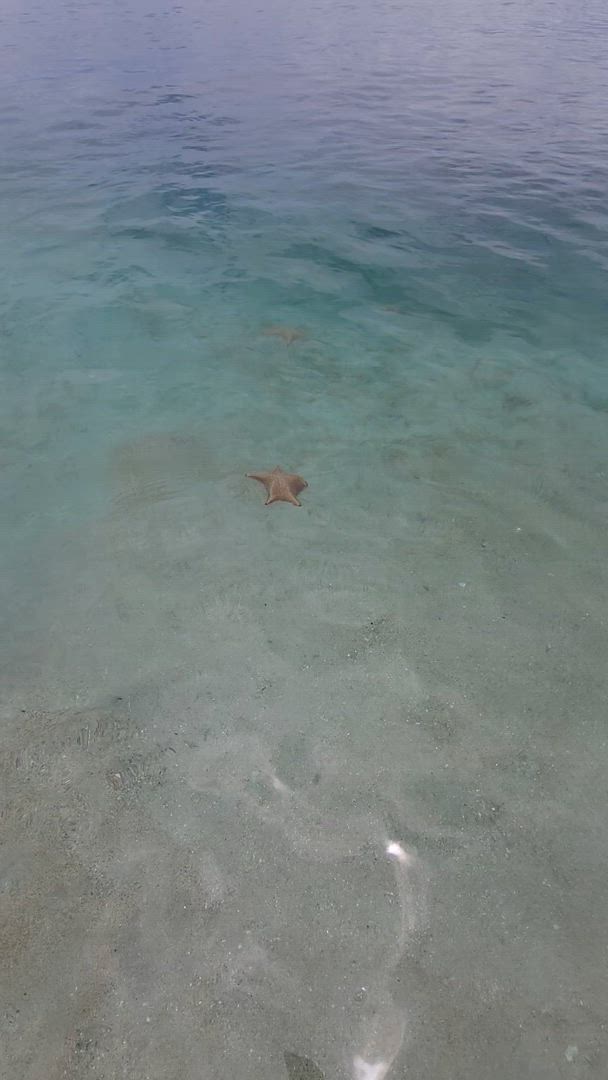 9 jours à travers le Panama : Culture, montagne et paradis caribéen customer review video