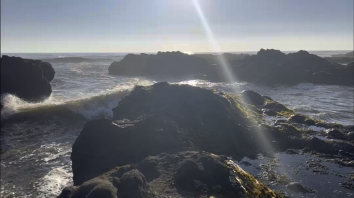 Ever wanted to visit Santa Barbara, where history comes to life, or walk through Solvang's charming Danish-style streets, making you feel like you're in Europe?  In San Francisco, cruise under the famous Golden Gate Bridge, where fog rolls through the bay. In Yosemite National Park, walk among giant sequoias and see waterfalls crashing down granite cliffs. Nature and city life collide in California.