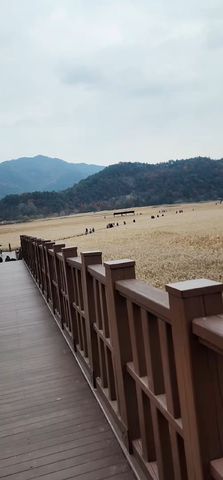 South Korea Circle Adventure 5D/4N Tour