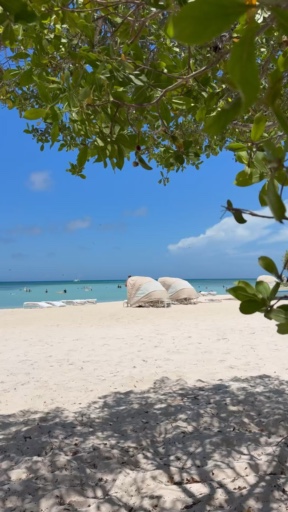 Is it your dream to take a luxury yacht to the Caribbean islands? Visit Antigua's lively capital and Barbuda's pink sand beaches. Relax on St. Barts' beaches, snorkel in Tobago Cays Marine Park, and swim with Exuma's famous pigs. Climb Jamaica's Dunn's River Falls, tour San Juan's forts, explore Aruba's Arikok National Park, and delight in real Caribbean food.