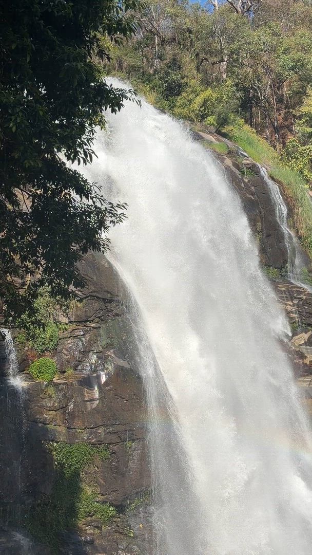 Amazing Thailand In 9 Days customer review video