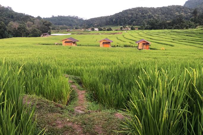 MAE KHLANG LUANG VILLAGE