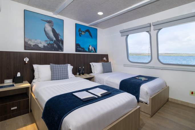 Main deck standard cabin