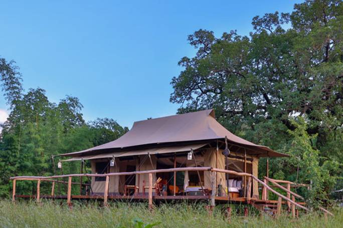 The Untamed Bandhavgarh