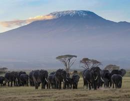 Mount Kilimanjaro