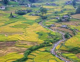 Lao Cai