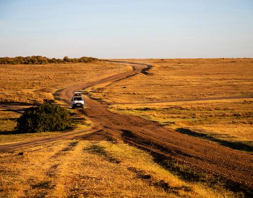 Days Masai Mara Lake Nakuru Naivasha Group Safari By Jollic Adventure Tour Tourradar