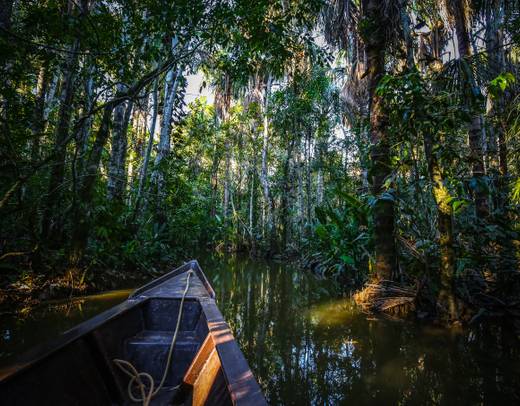 Journeys: Machu Picchu and the Amazon National Geographic Journeys by ...