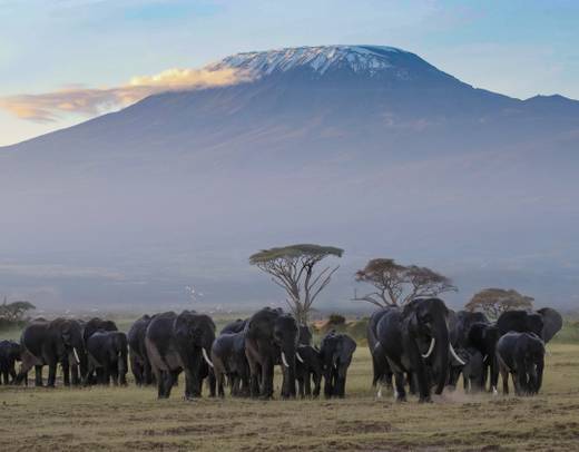 kenia safari 5 tage