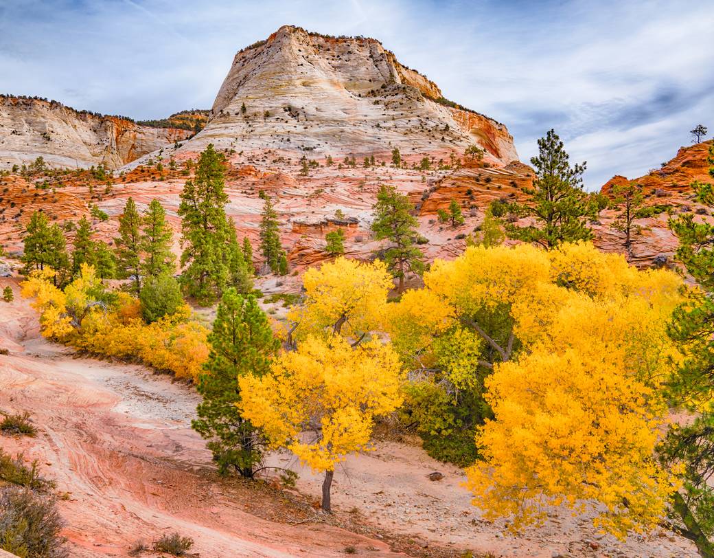 autumn in the united states