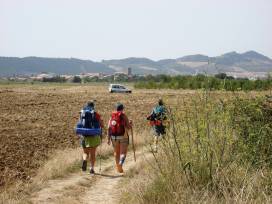 Walking the Camino