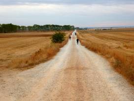Walking the Camino in summer
