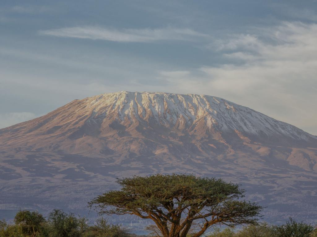 kilimanjaro trek australia