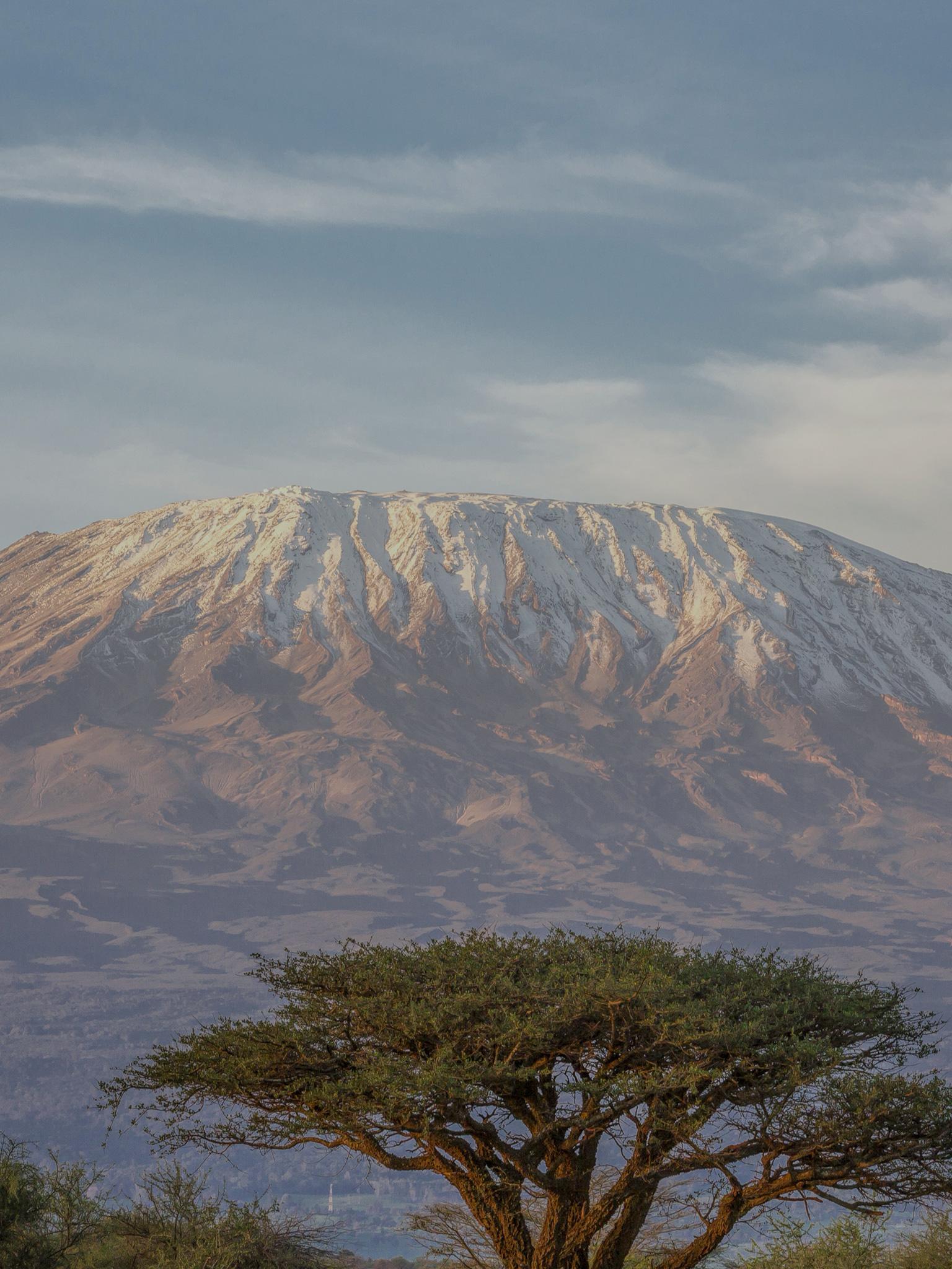 Best 10 Kilimanjaro Tour Operators & Trekking Companies TourRadar