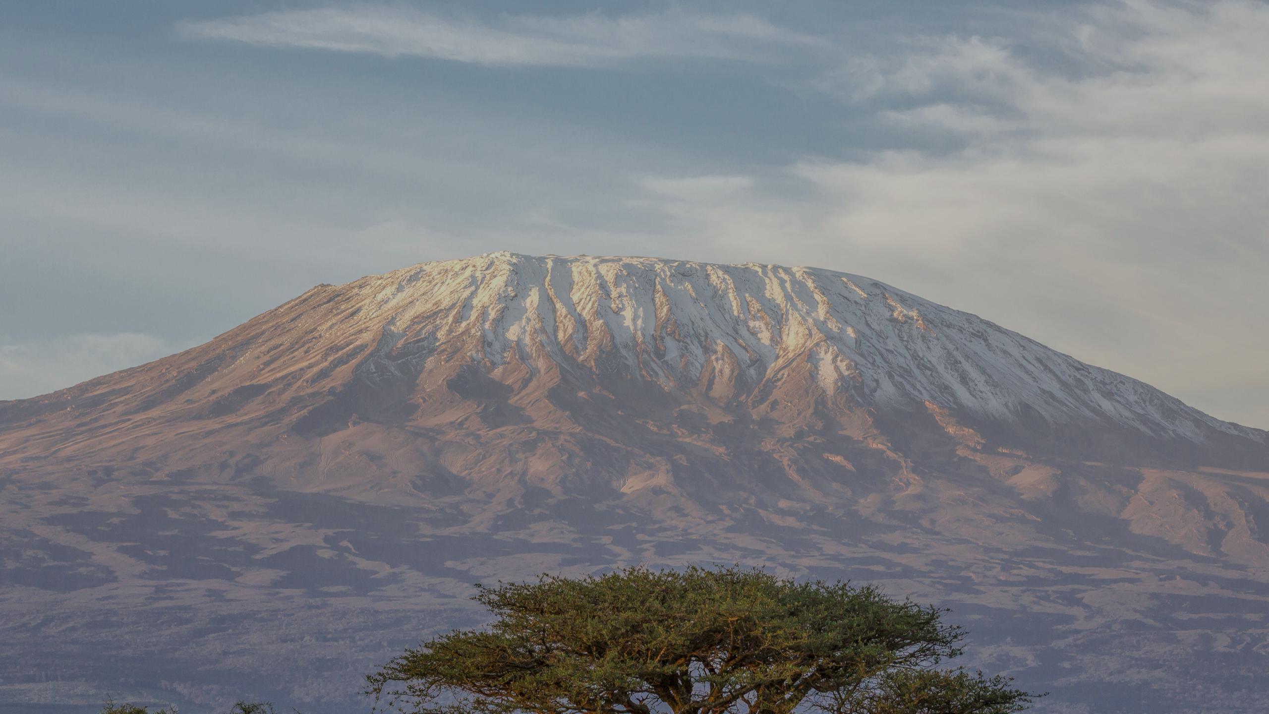 Best 10 Kilimanjaro Tour Operators & Trekking Companies TourRadar