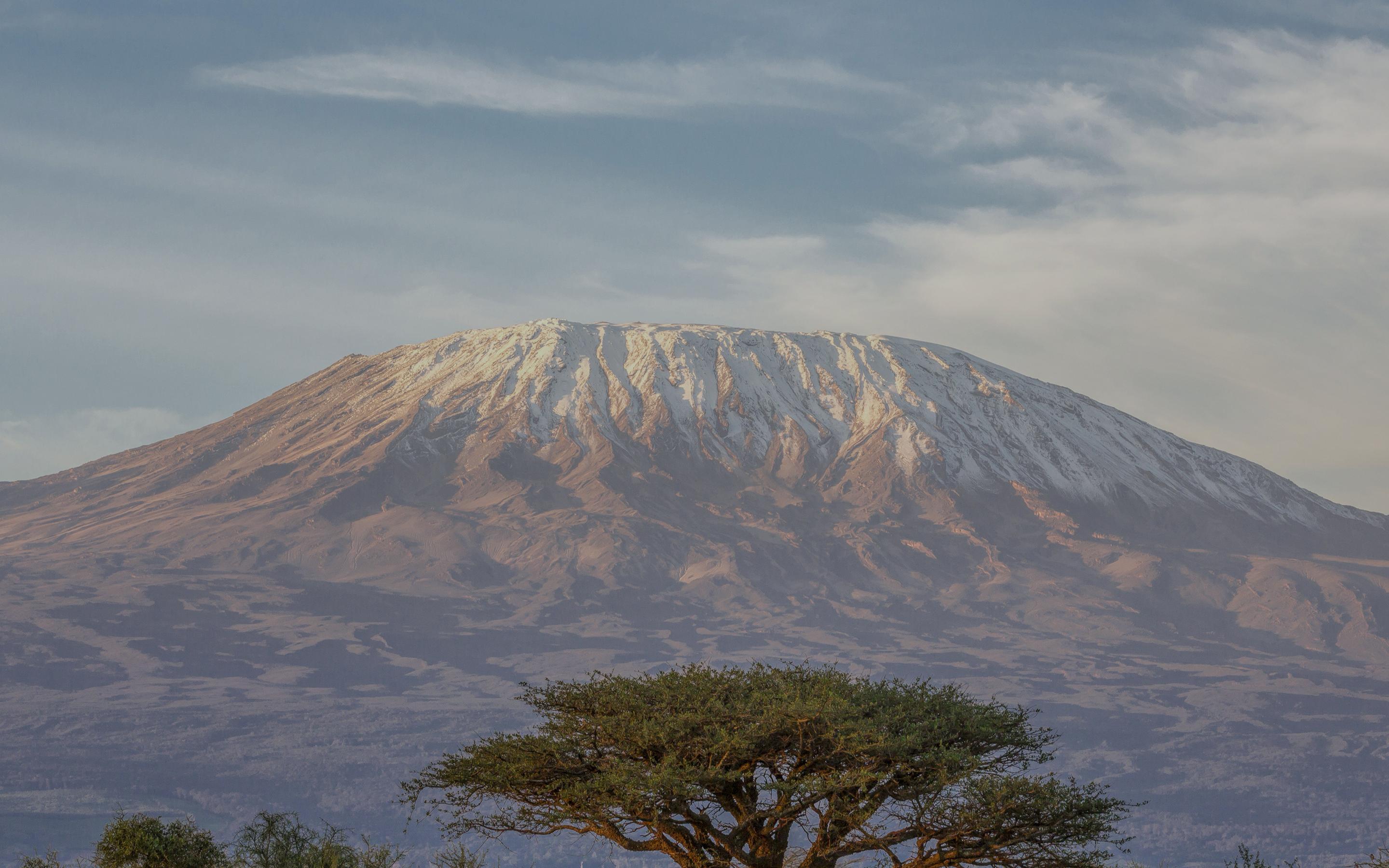 kilimanjaro tour operators