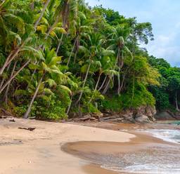 Costa Rica Rundreisen