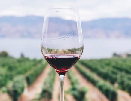 Circuits de luxe de dégustation de vins en Europe