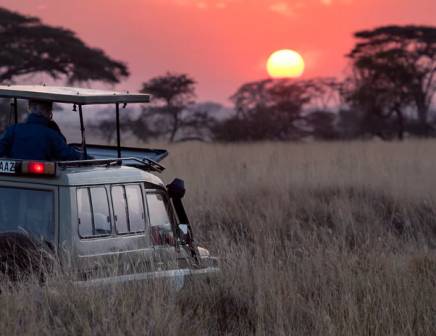 Safari de luxe en Afrique