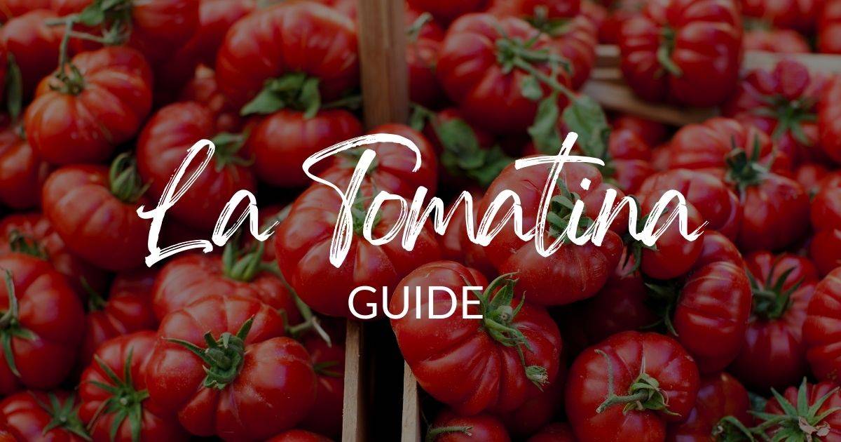 10 Best La Tomatina Tours & Trips 2025 TourRadar