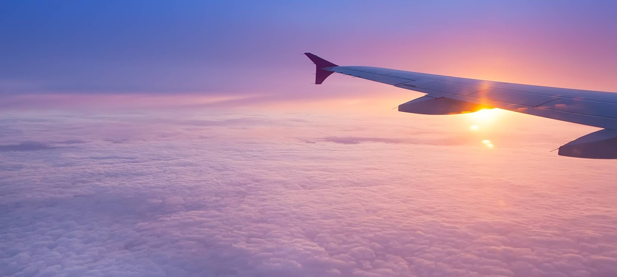 Find & Book Flights TourRadar