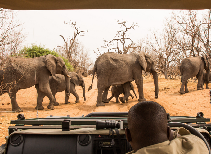 Group of travellers on safari