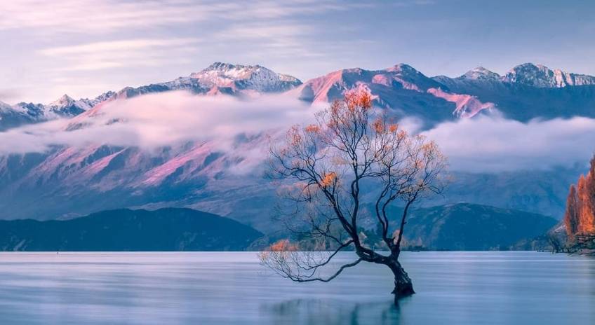 The Best New Zealand Tours & Vacation Packages 2021/2022 - TourRadar