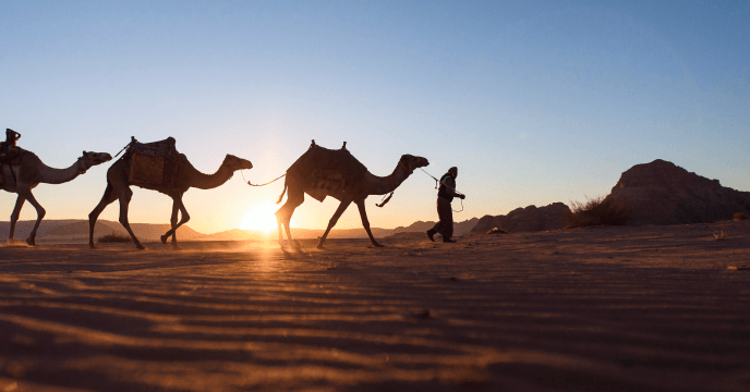 camel-ride-wadi-rum
