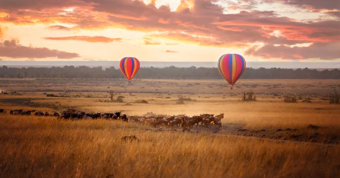 Two hot air balloons floating over the animals of the Great Migration on safari