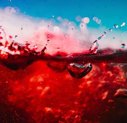 Le vin rouge éclabousse à la bataille du vin