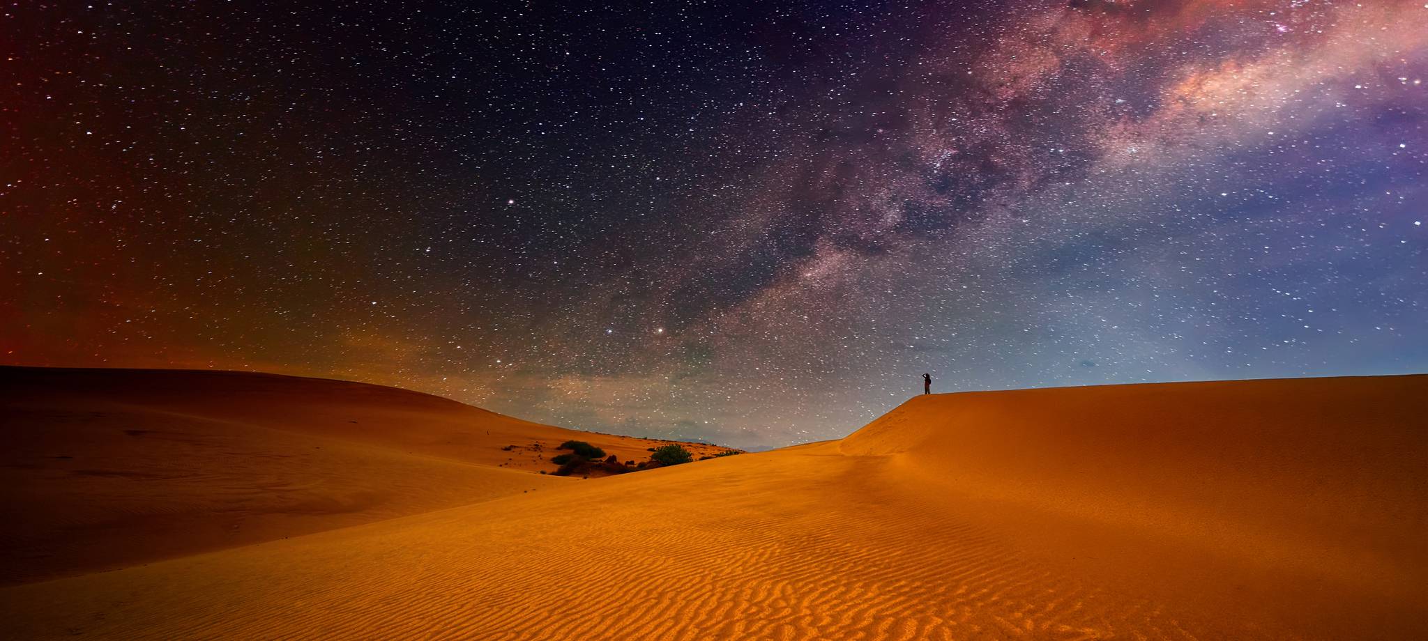 Travelers' Choice Accreditation 2024 TourRadar