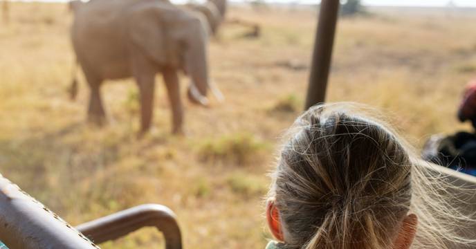 Eine junge Frau beobachtet einen Elefanten auf einer Safari im Etosha Nationalpark