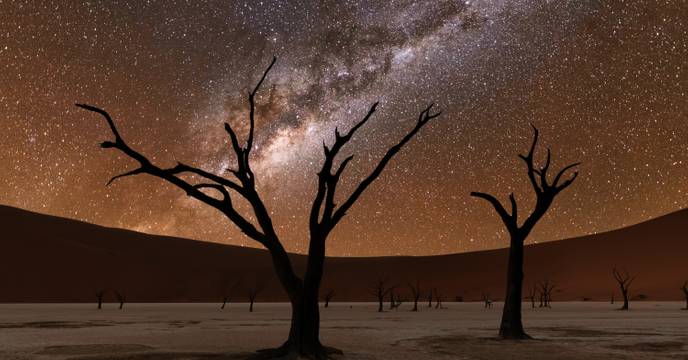Der leuchtende Sternenhimmel über Dead Vlei, Namibia