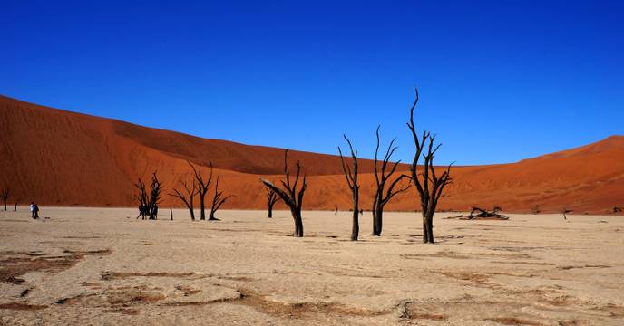 The starry night skies above Deadvlei, Namibia