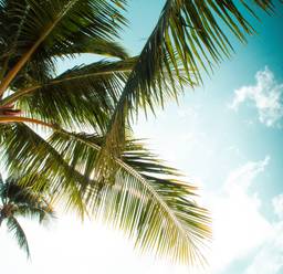 Voyages de noces aux Maldives