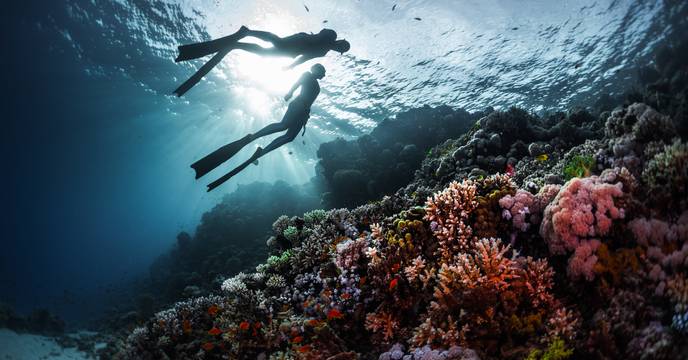 Two snorkellers swimming over coral in Australia's Great Barrier Reef