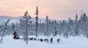 Sweden Travel Guide | All You Need to Know - TourRadar