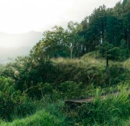 Circuits pas chers au Sri Lanka
