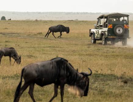 Goedkope Afrikaanse safari's