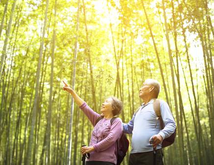 Un couple en lune de miel en Asie