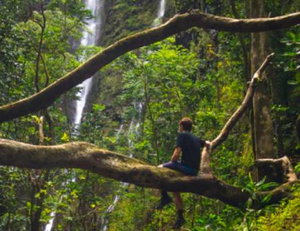 Goedkope reizen naar de Filipijnen