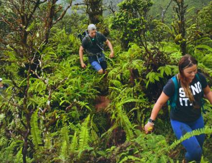 Goedkope wandelvakanties Corsica