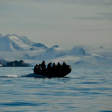 10 Best Antarctica Cruises & Tours From South America 2024/2025 - TourRadar