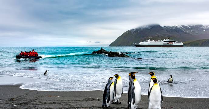 Penguins on the shore with people watching them from a boat
