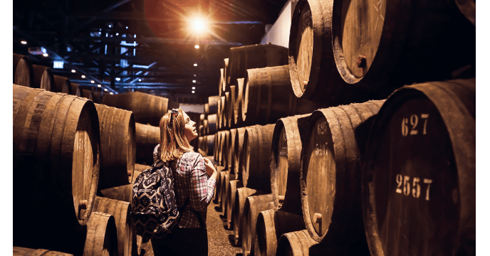 wine cellar with barrels