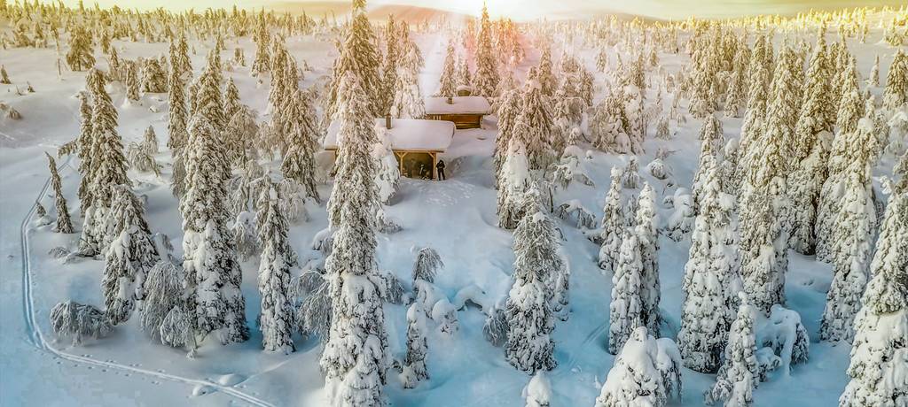 Snowed forest in Finland