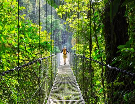 Rain Forest,Costa Rica