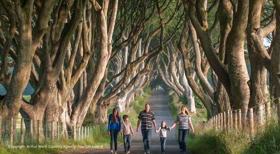 The Dark Hedges, Northern Ireland